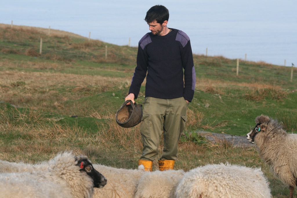 Feeding in advance of lambing