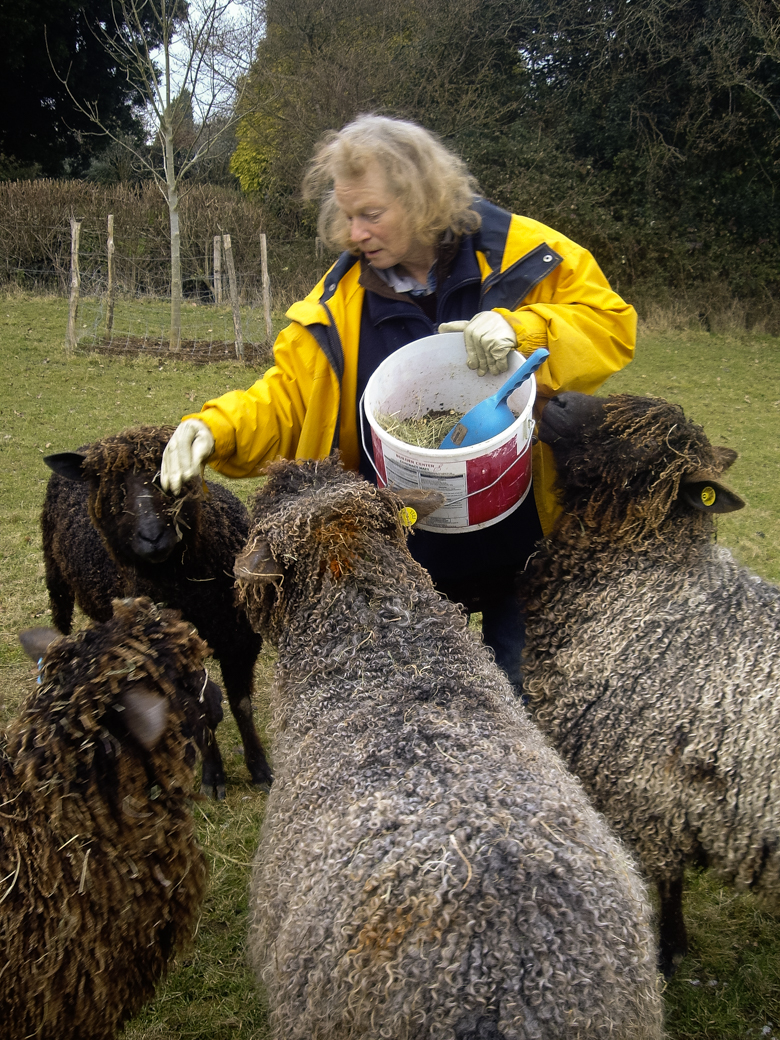 Julia Desch, shepherd and inspirational force behind Woolcraft with Wensleydale - one of many small producers whose work paves the foundation for the British Wool industry