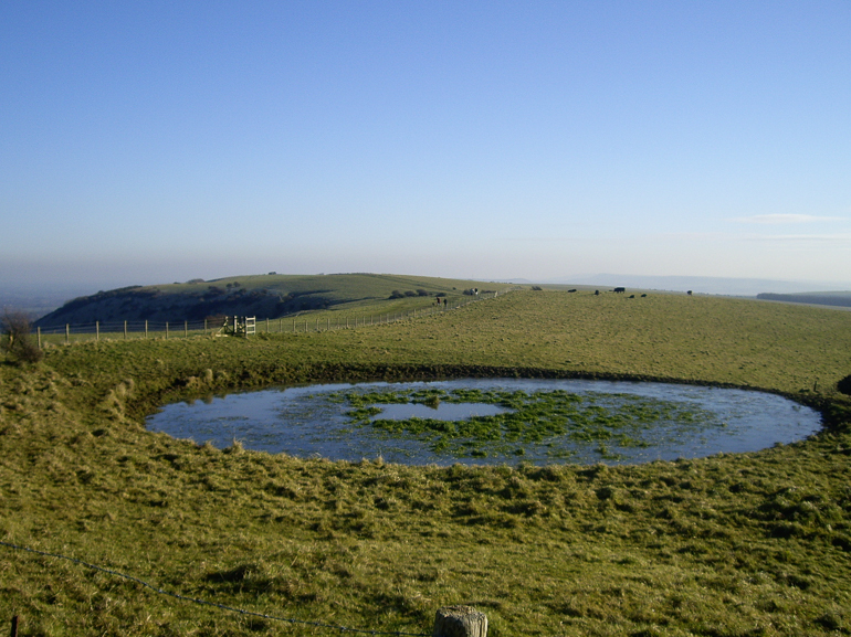 A dew pond near Ditchling, Sussex. (Dew ponds are specially constructed ponds used for watering livestock.)