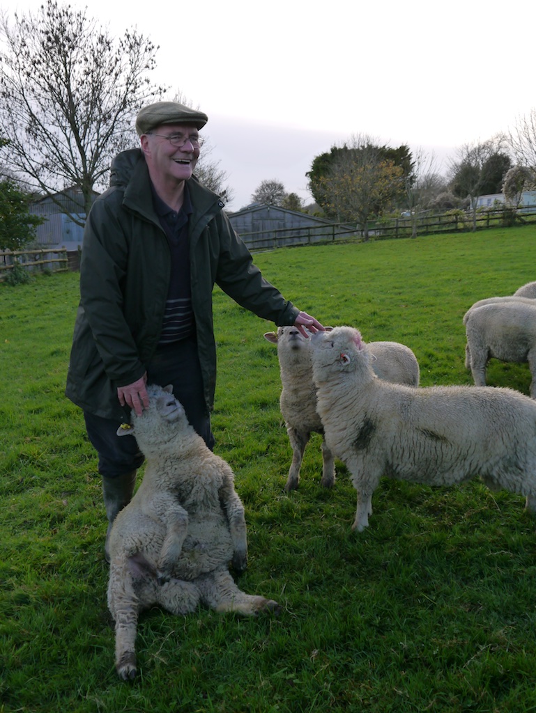 Shepherd Graham Langford and Southdown ram lambs