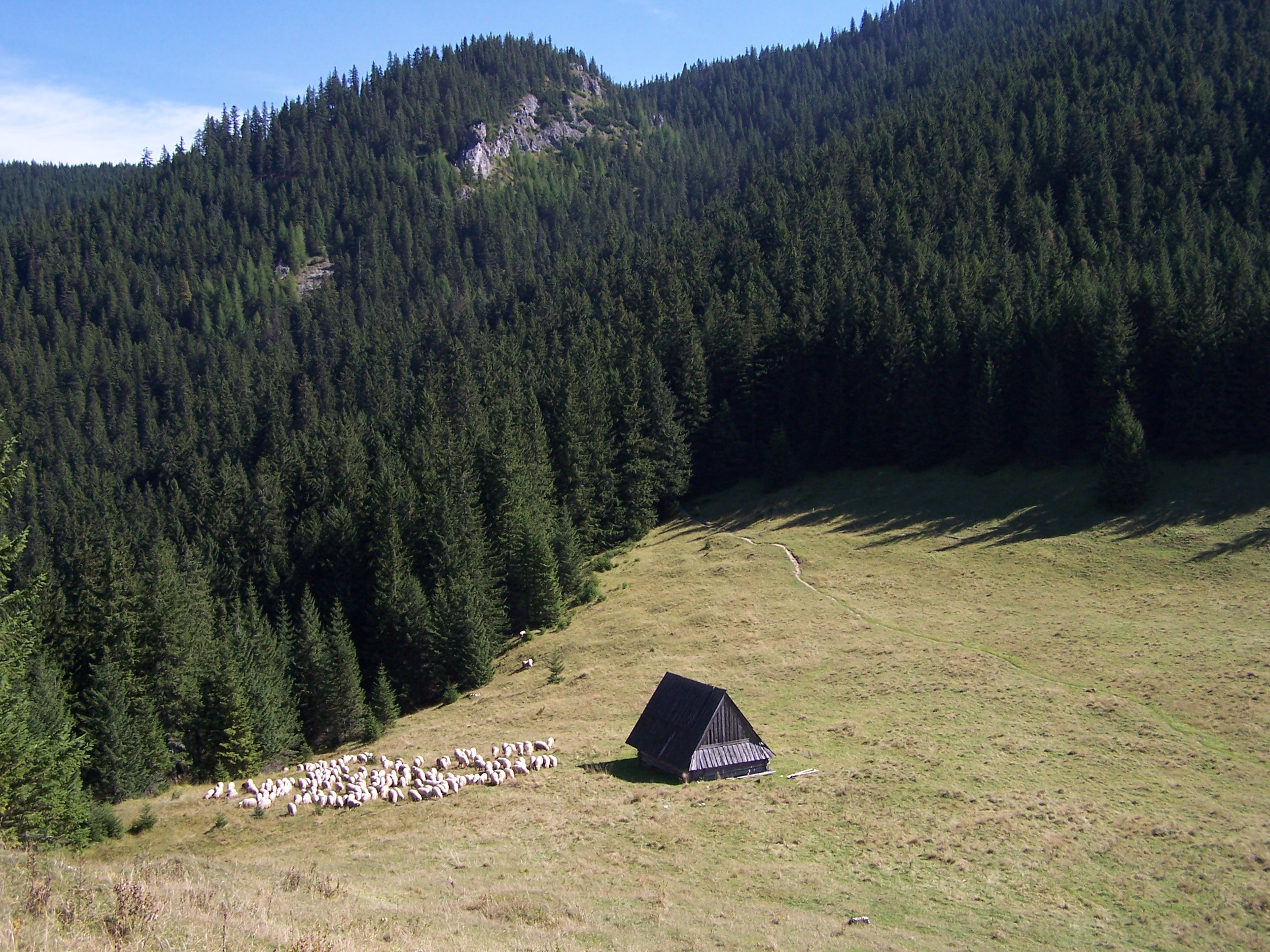 'Polana Jamy (Tatra Mountains)' - photo found on Wiki Commons and attributable to Opioła Jerzy