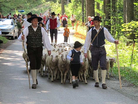 'Sheep Ball (second Sunday in August) is the oldest Slovenian ethnographic event, which revives the lifestyle and customs of herdsmen and dairymaids. Here you can see the return of sheep from their pastures in the mountains, sheep shearing, wool processing and you can also try traditional herdsmen food' - image found here