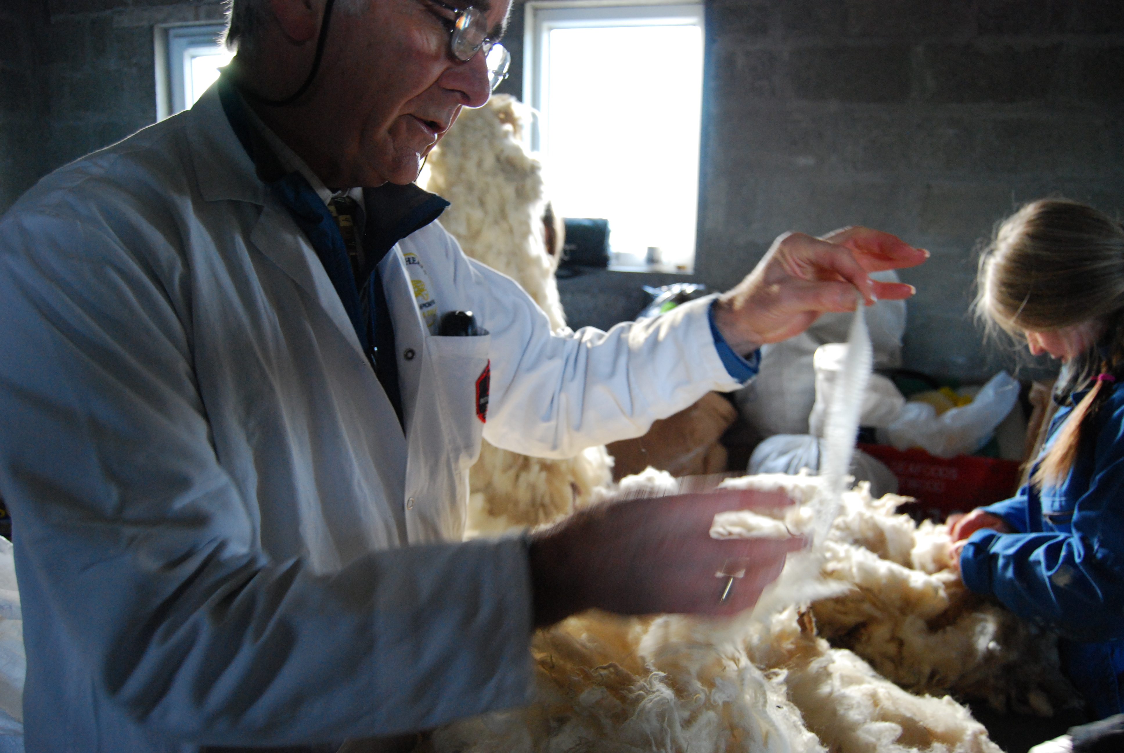 Trainees take part in a wool grading workshop