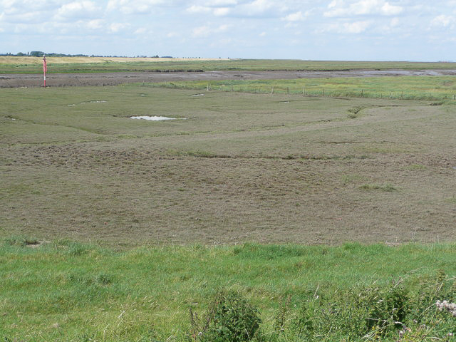 Grazed and ungrazed saltmarsh photographed 25 July 2009 by Hector Davie and shared on Wikimedia Commons using Creative Commons Attribution 2.0 Generic license here
