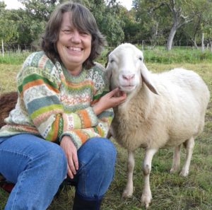 Beate Herold and sheep